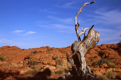 Outback - Foto, Druck, Poster, Leinwand