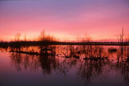 Abendrot - Foto, Druck, Poster, Leinwand