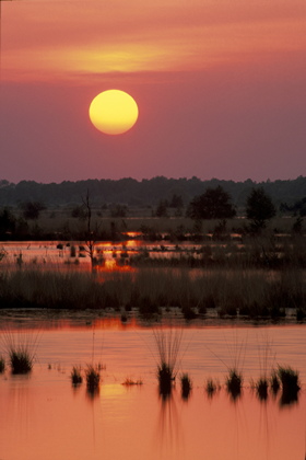 Sonnenuntergang - Foto, Druck, Poster, Leinwand