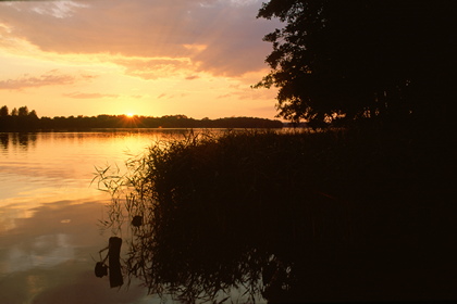 Waldsee im Sonnenuntergang - Foto, Druck, Poster, Leinwand