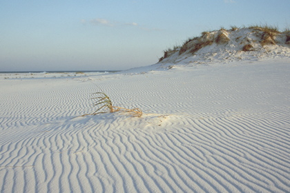 Sandstrand - Foto, Druck, Poster, Leinwand