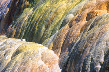 Yellowstone - Foto, Druck, Poster, Leinwand