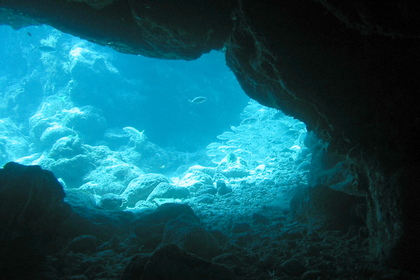 Unterwasserhöhle - Foto, Druck, Poster, Leinwand