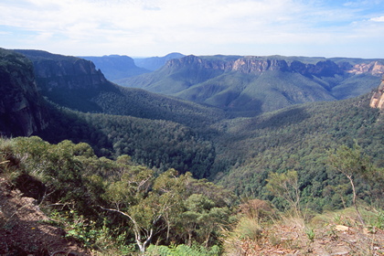 Blue Mountains - Foto, Druck, Poster, Leinwand