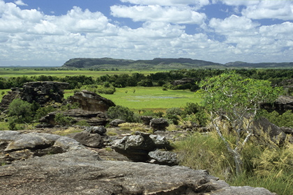 Savanne - Foto, Druck, Poster, Leinwand