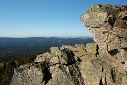 Wolfswarte - Foto, Druck, Poster, Leinwand