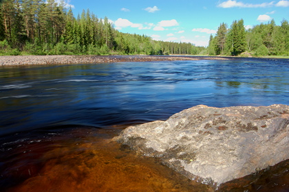 Flußlauf - Foto, Druck, Poster, Leinwand