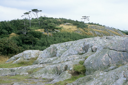 Felslandschaft - Foto, Druck, Poster, Leinwand