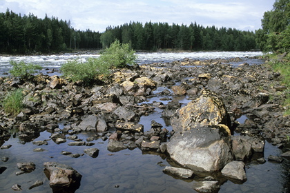 Steiniges Flußufer - Foto, Druck, Poster, Leinwand