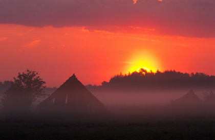 Sonnenaufgang im Moor - Foto, Druck, Poster, Leinwand