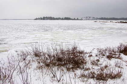Eisige Küste - Foto, Druck, Poster, Leinwand
