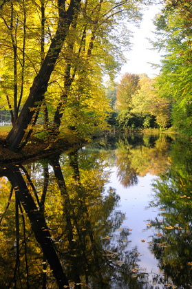 Waldsee - Foto, Druck, Poster, Leinwand