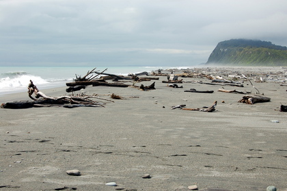 Treibholz am Strand - Foto, Druck, Poster, Leinwand