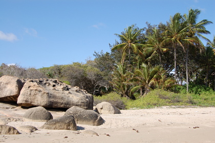 Palmenstrand - Foto, Druck, Poster, Leinwand