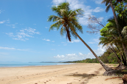 Palmenstrand - Foto, Druck, Poster, Leinwand