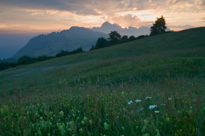 Morgenstimmung auf der Seiser Alm - Foto, Druck, Poster, Leinwand