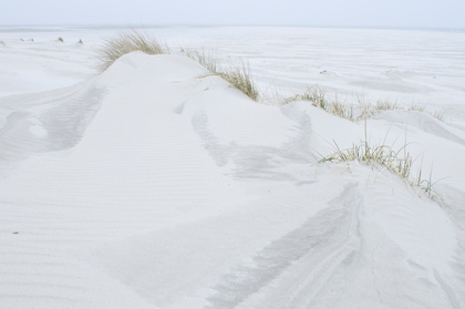 Stranddünen - Foto, Druck, Poster, Leinwand