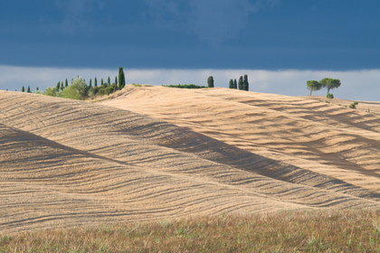 Toscana - Foto, Druck, Poster, Leinwand