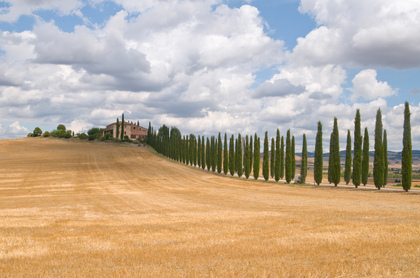 Toscana - Foto, Druck, Poster, Leinwand