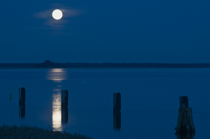 Vollmond über dem Bodden - Foto, Druck, Poster, Leinwand