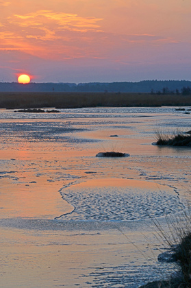 Sonnenaufgang im Moor - Foto, Druck, Poster, Leinwand