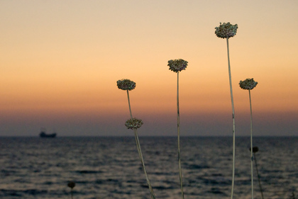 Abenddämmerung am Meer - Foto, Druck, Poster, Leinwand