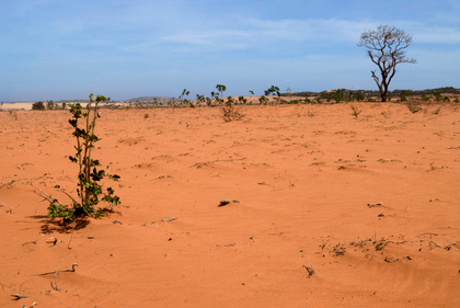 Roter Sand - Foto, Druck, Poster, Leinwand
