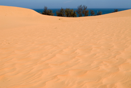 Sanddünen - Foto, Druck, Poster, Leinwand