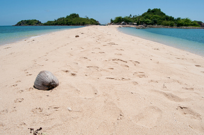 Kokosnuss am Strand - Foto, Druck, Poster, Leinwand