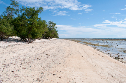 Strand - Foto, Druck, Poster, Leinwand