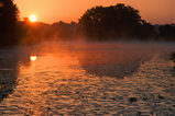 Foto Waldsee im Sonnenaufgang