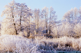 Foto Winterlandschaft