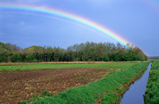 Foto Regenbogen