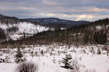 Foto Nordische Winterlandschaft