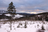 Foto Nordische Winterlandschaft