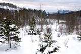 Foto Nordische Winterlandschaft