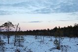 Foto Nordische Winterlandschaft