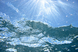 Foto Sonnenstrahlen Unterwasser