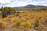 Foto Tasmanisches Hochland