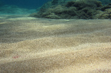 Foto Sand am Meeresboden
