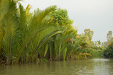 Foto Mekong Delta