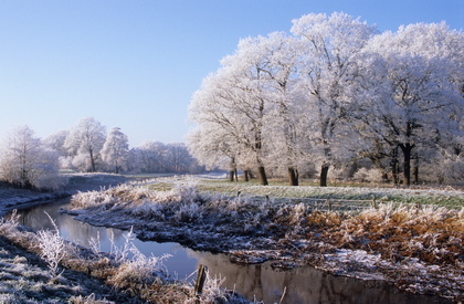 Winterlandschaft - Foto, Druck, Poster, Leinwand