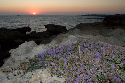 Sonnenuntergang überm Meer - Foto, Druck, Poster, Leinwand